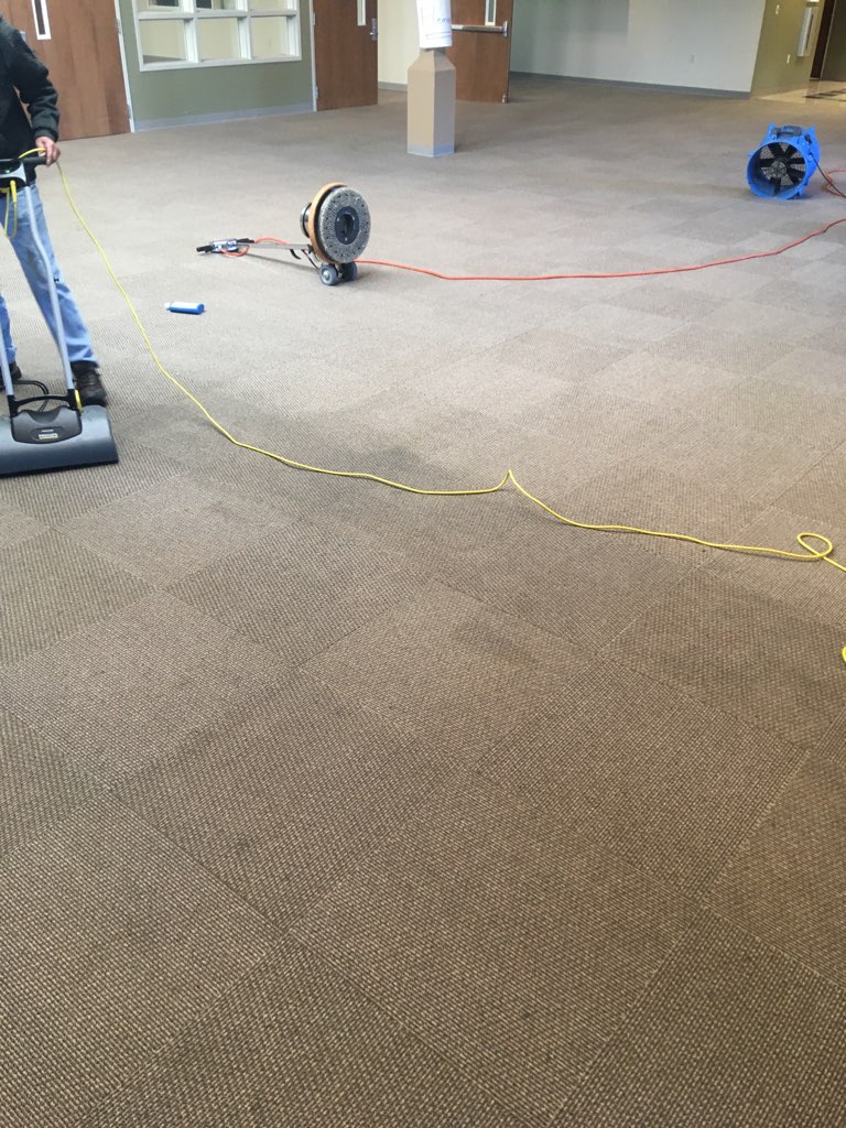 deep carpet cleaning removing oil stains